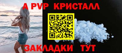 крисы Кулебаки
