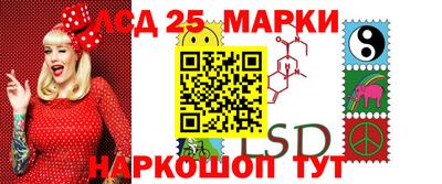 крисы Кулебаки