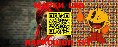 крисы Кулебаки