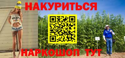 крисы Кулебаки