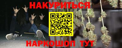 крисы Кулебаки