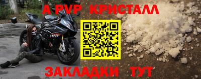 крисы Кулебаки