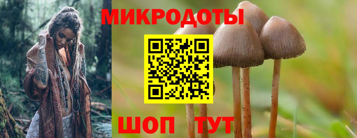 Кимовск  Псилоцибиновые грибы Psilocybe  Вход с VPN 
