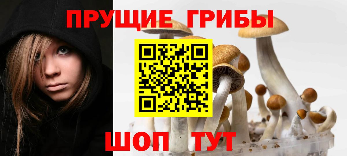Галлюциногенные грибы мицелий Кимовск